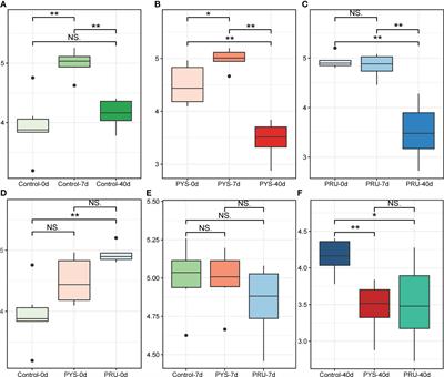 Changes of gut microbiota structure in rats infected with Toxoplasma gondii